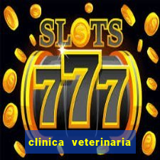 clinica veterinaria cuidar betim